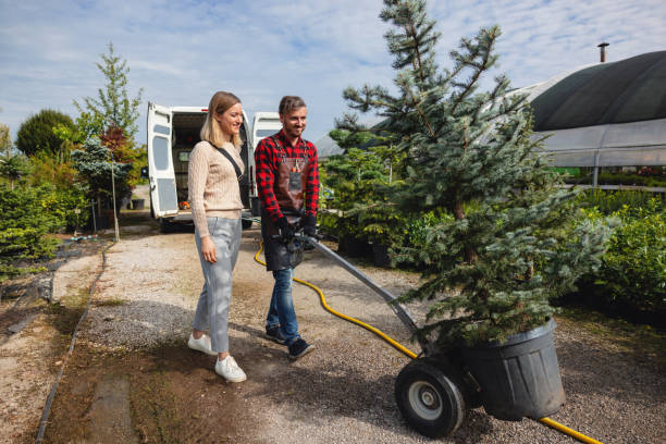 Best Tree Cutting Near Me  in Homedale, ID